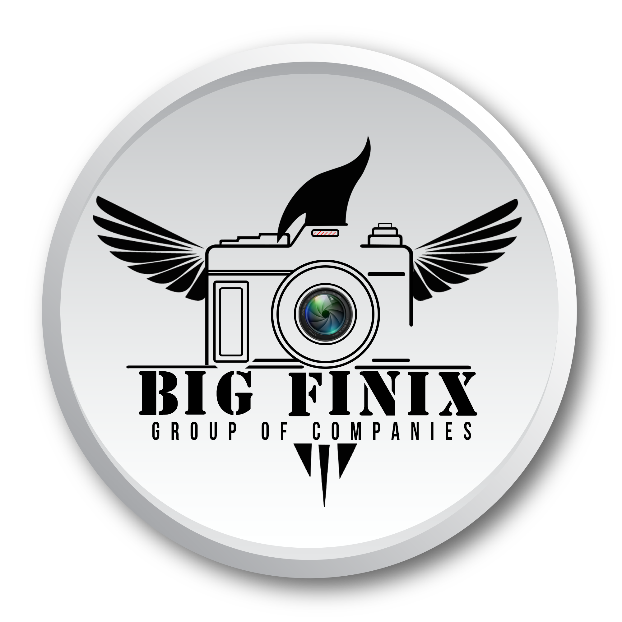 Big Finix Company